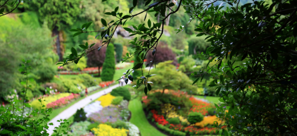 Tipps für Ihren Sommergarten