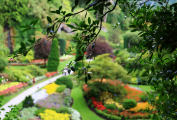 Tipps für Ihren Sommergarten